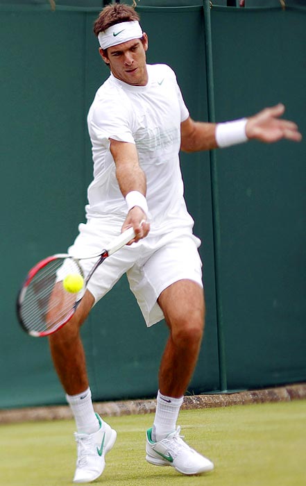 Wimbledon 2011, tenisiści