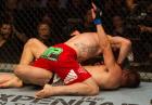UFC 154: Georges St-Pierre pokonał Carlosa Condita 
