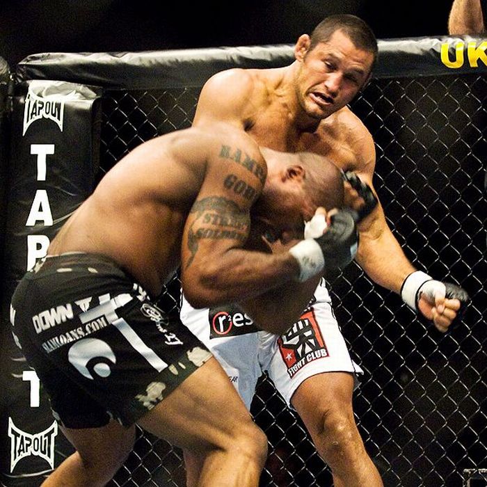 UFC: Rashad Evans pokonał Dana Hendersona