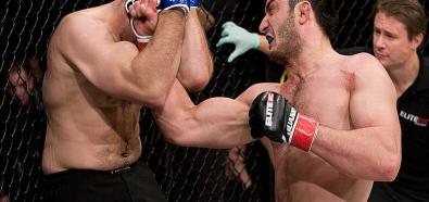 MMA: Mamed Khalidow wybierze jednak UFC?