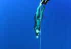 Mistrzostwa Świata w nurkowaniu swobodnym Kalamata 2013