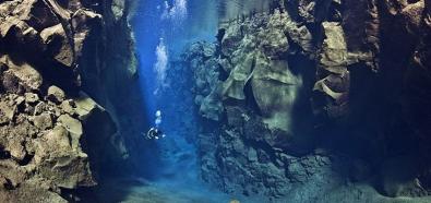 Alex Mustard - Nurkowanie - fotografia podwodna - Islandia