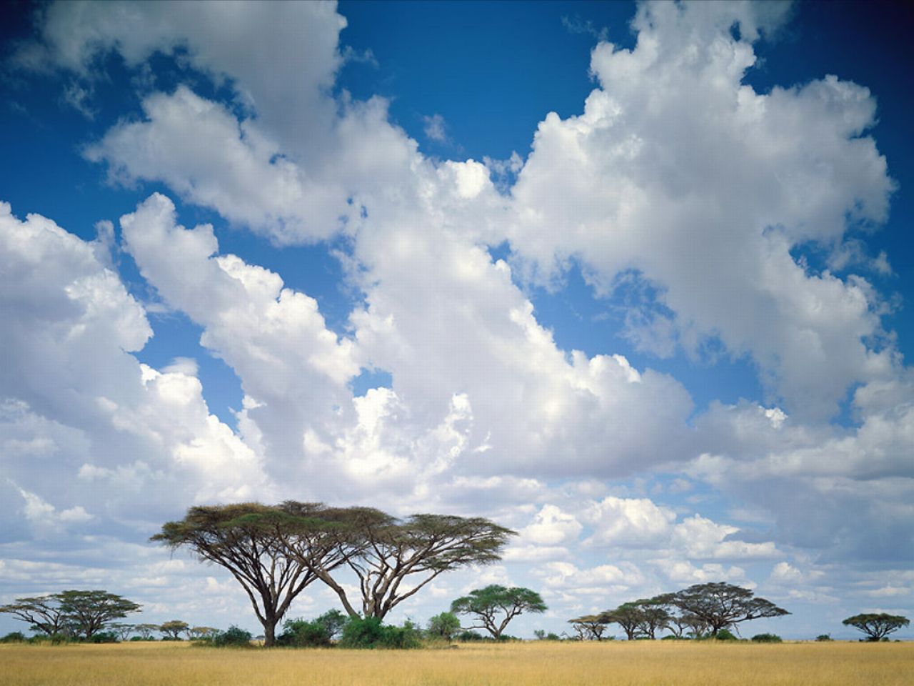 Kenia - Afryka