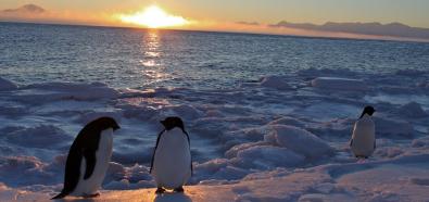 Praca na Antarktydzie