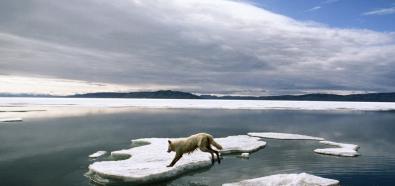 Kanada podkreśla swoje prawa do Arktyki