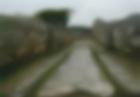Park archeologiczny w Paestum 