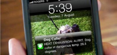 Dog Caller