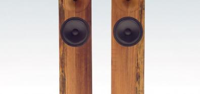 Beam Tower Speakers