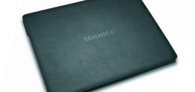 Toshiba Mobile Monitor