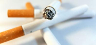 Dyrektywa ws. papierosów poróżniła polskie władze