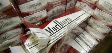 10% rynku tytoniowego to nielegalne papierosy